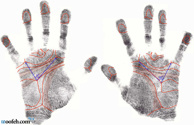 خطوط دست چپ و راست یک فرد، مشابه نیست.